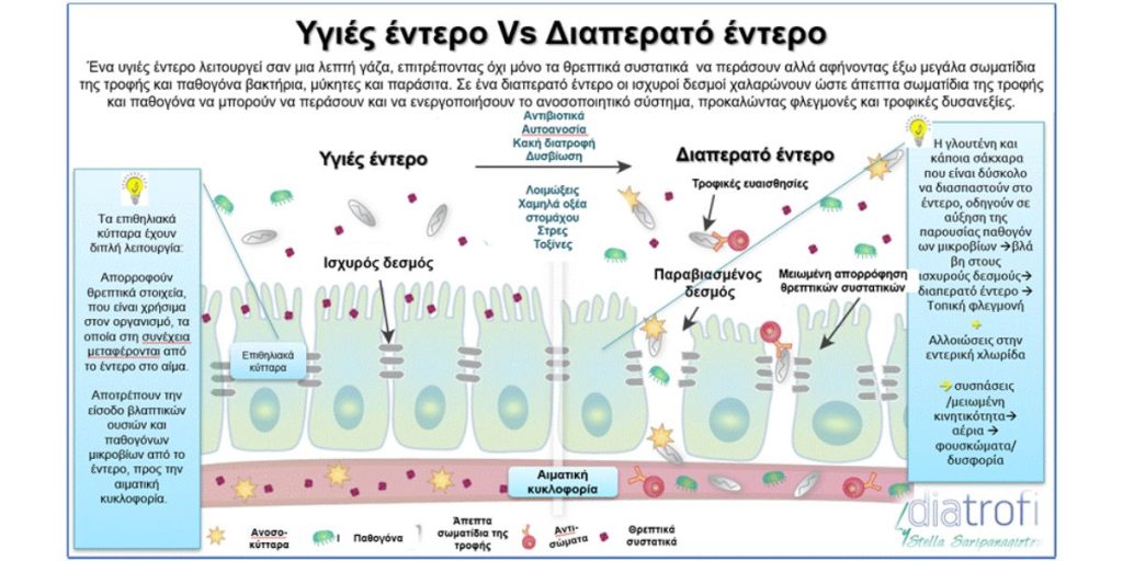 διαπερατό έντερο
